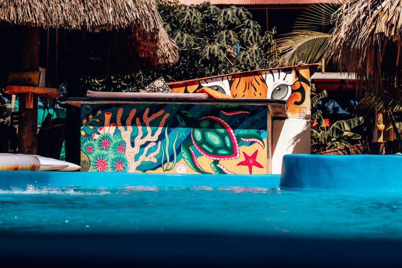 El Zoo Hostel, Bar & Pool Palomino Exterior photo