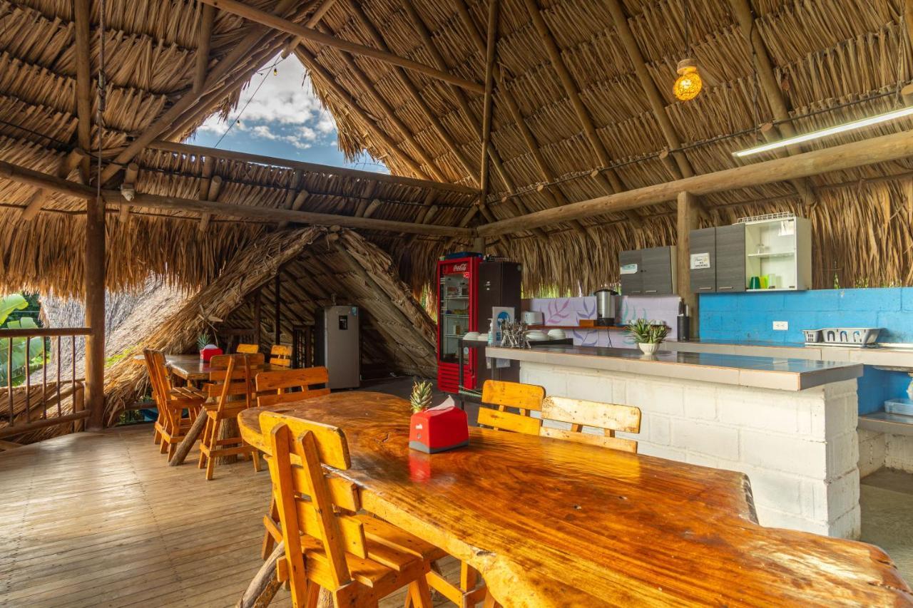 El Zoo Hostel, Bar & Pool Palomino Exterior photo